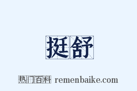 挺舒是什么意思的图片